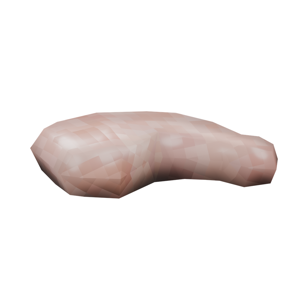Chicken Meat