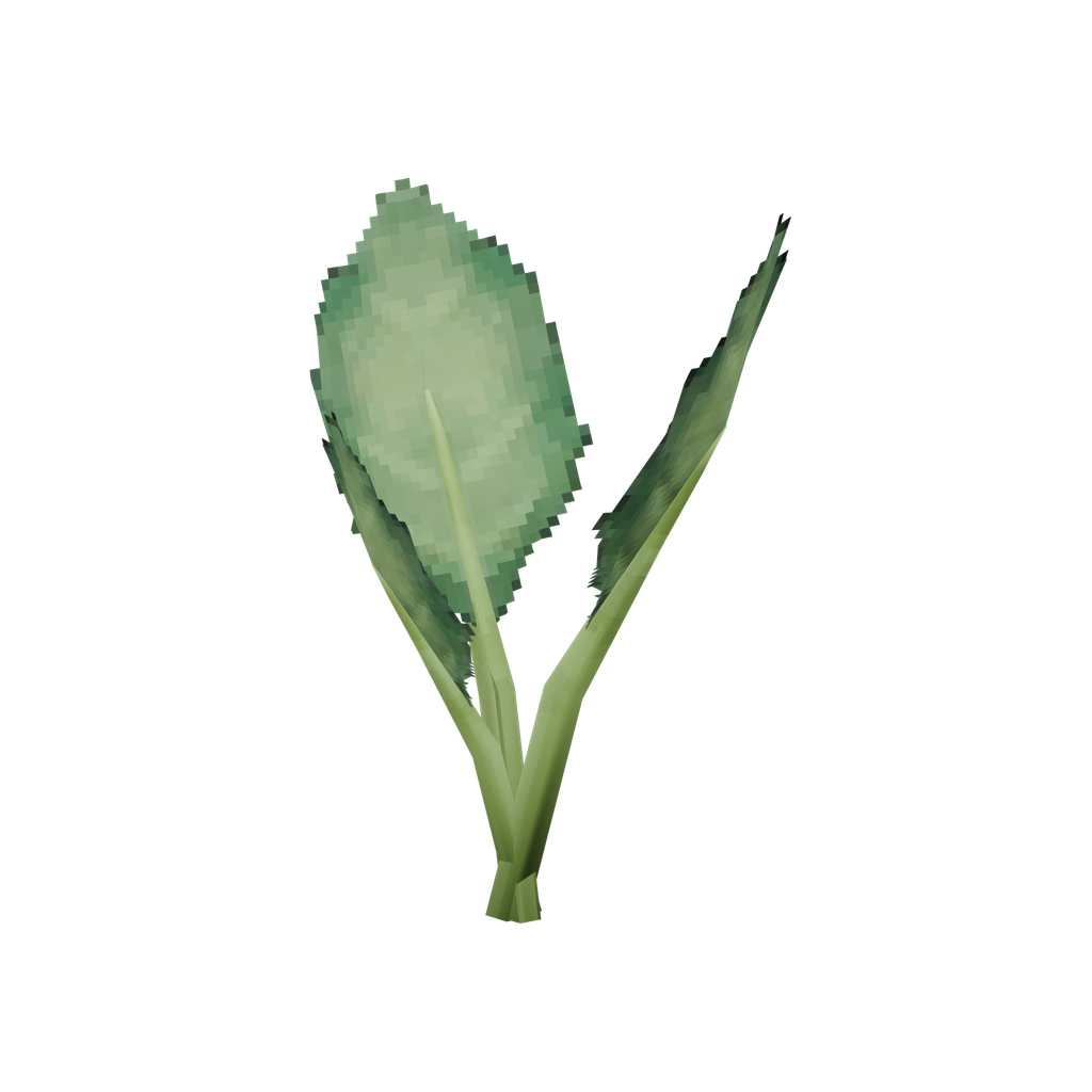 Kale