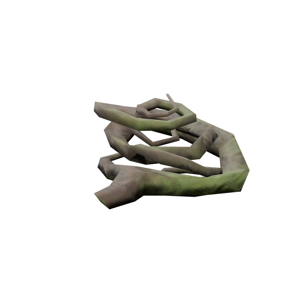 Root
