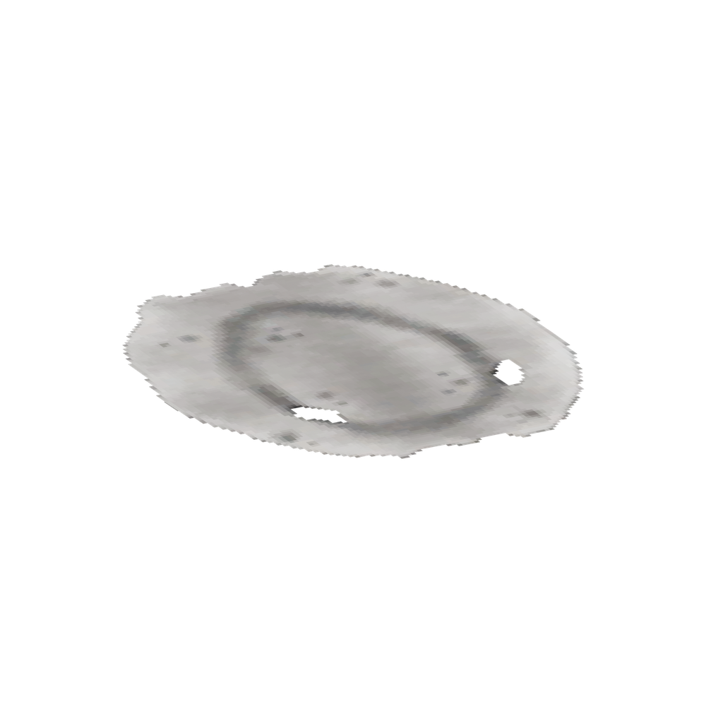 Sealskin Rug