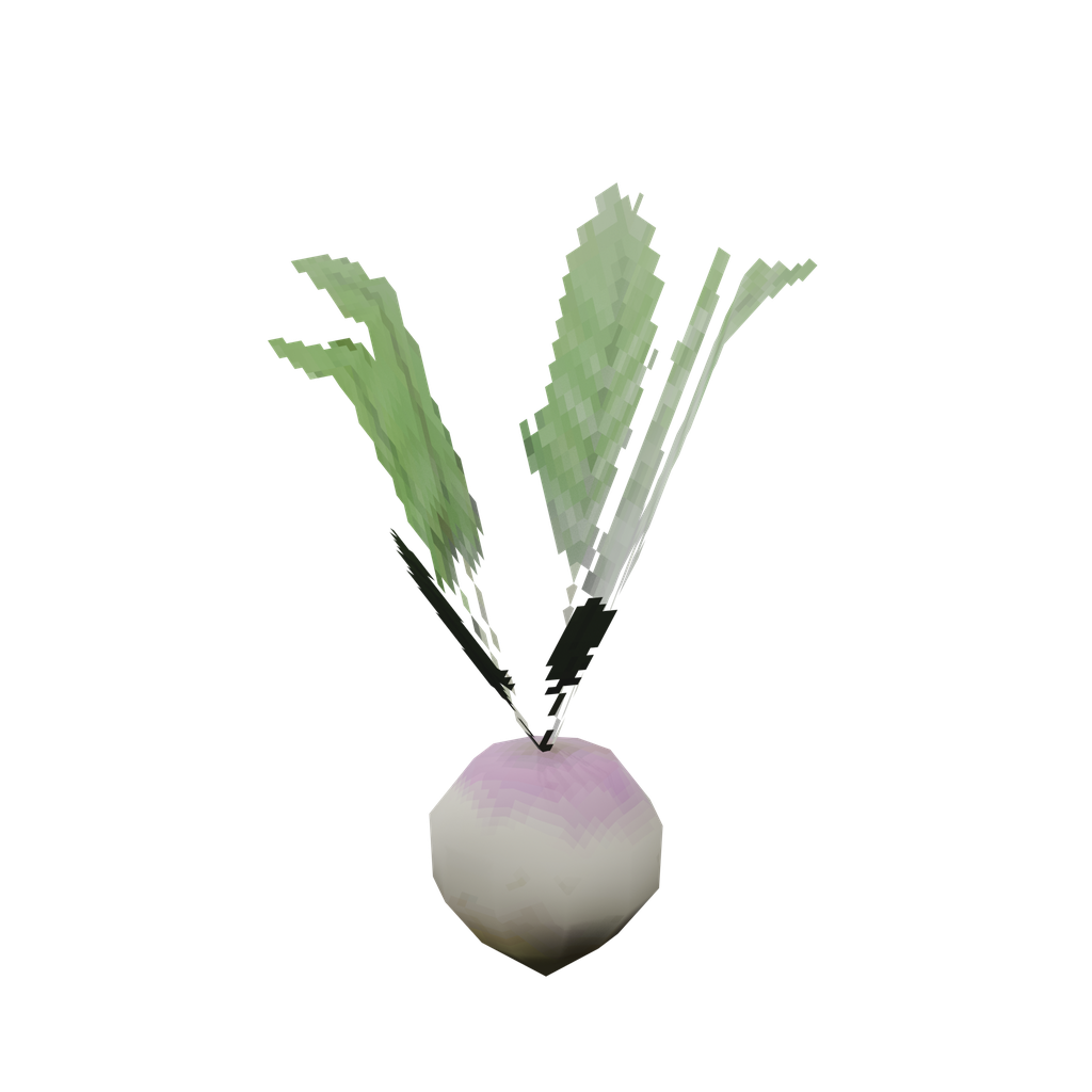 Turnip