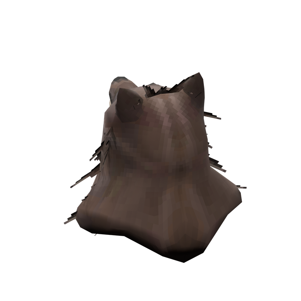 Headdress of the Bear