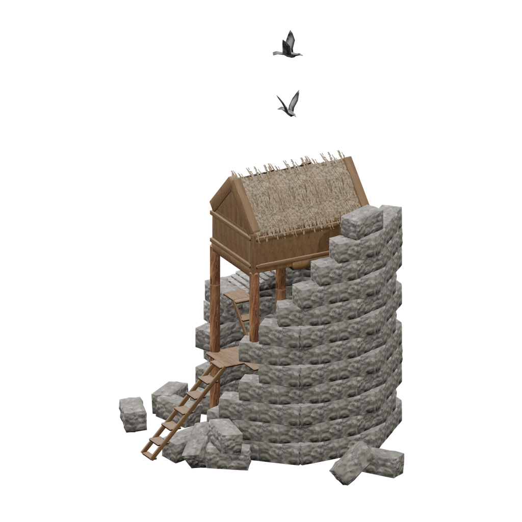 Swamp Hut5