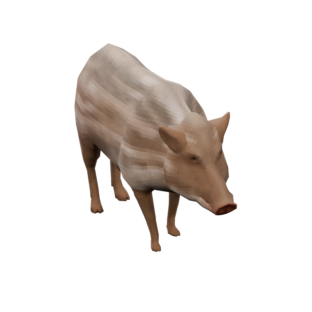 Piggy