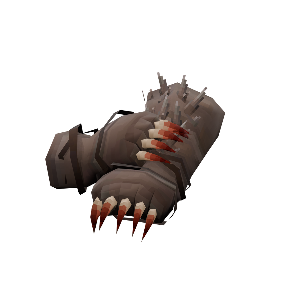 Paws of the Bear