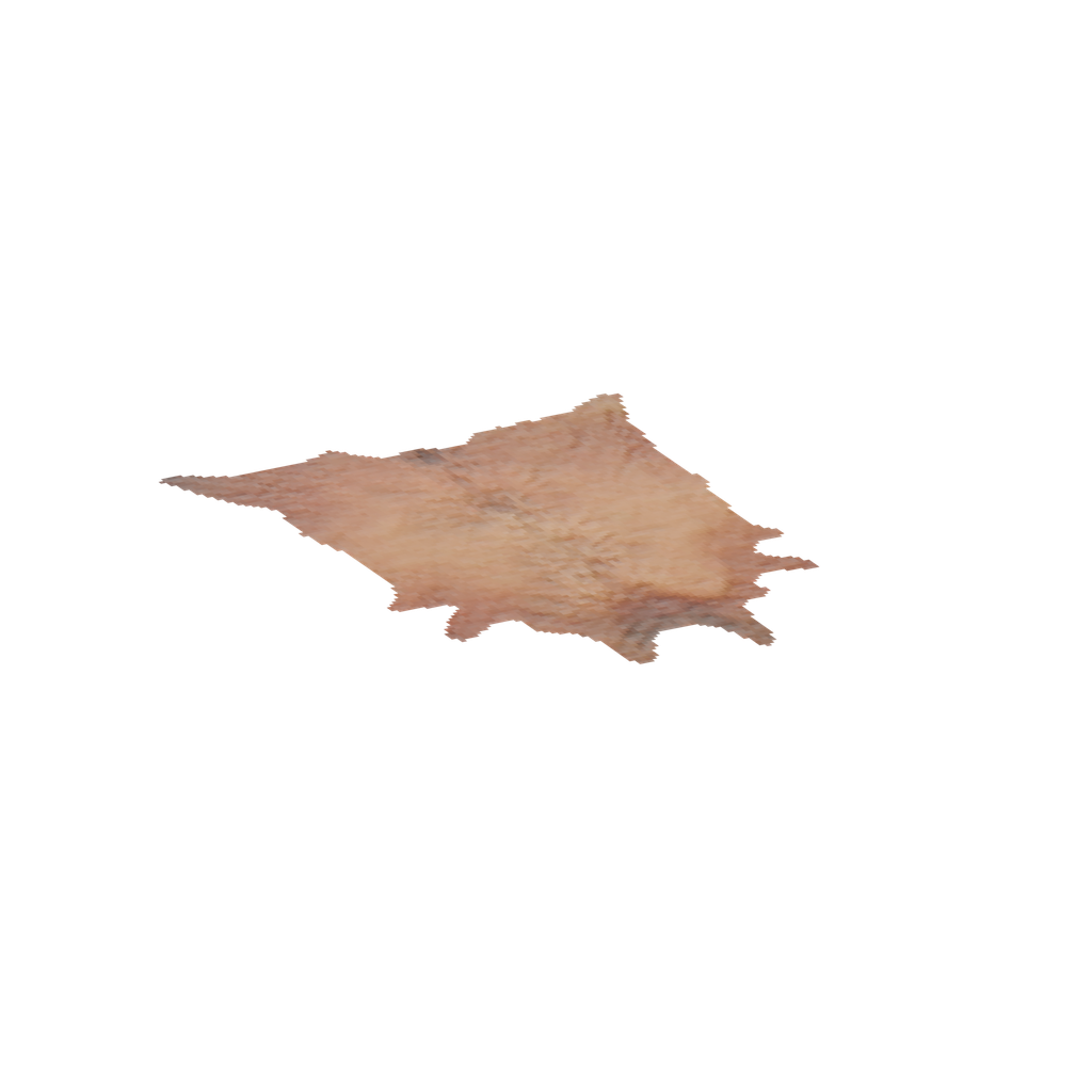 Deer Rug