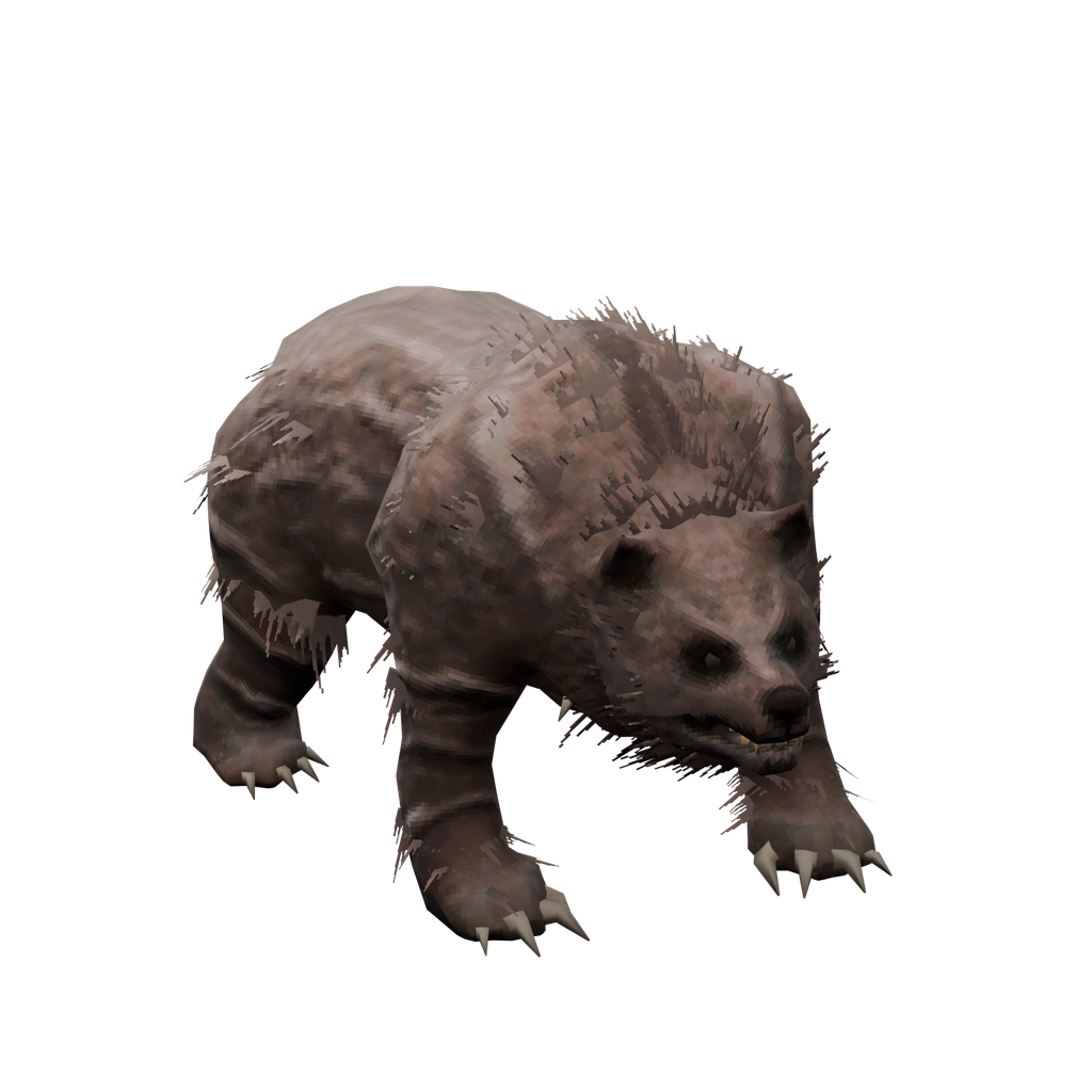Bear