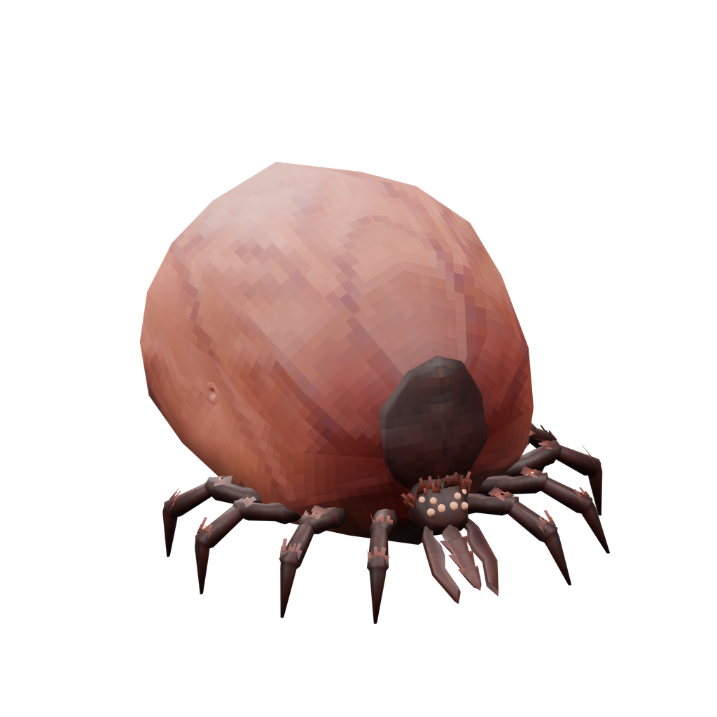 Tick