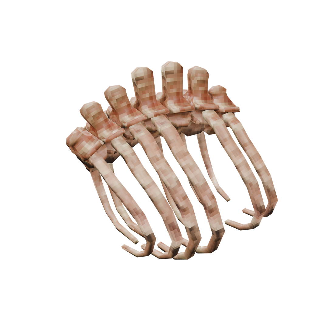 Asksvin Ribcage