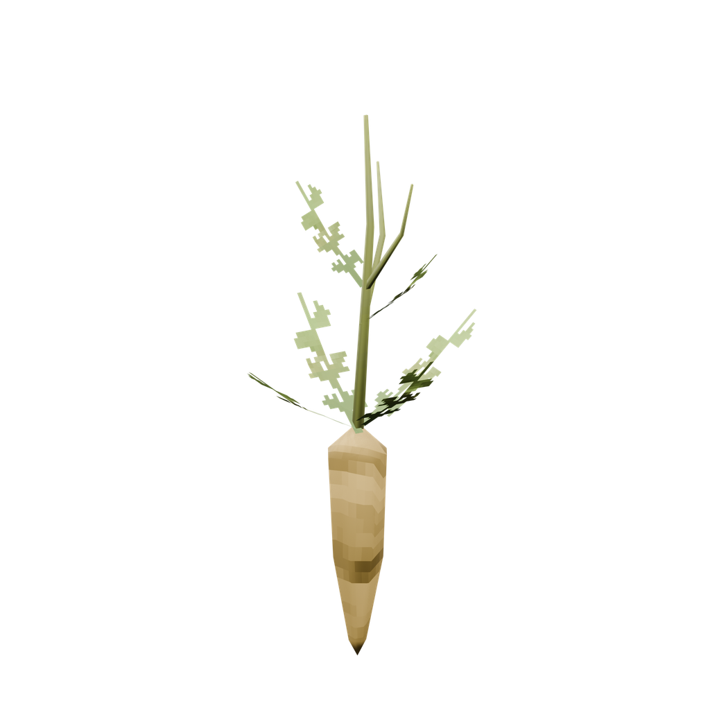 Seed-carrot