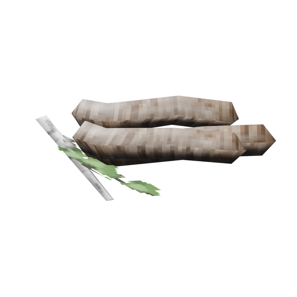 Birch Seeds
