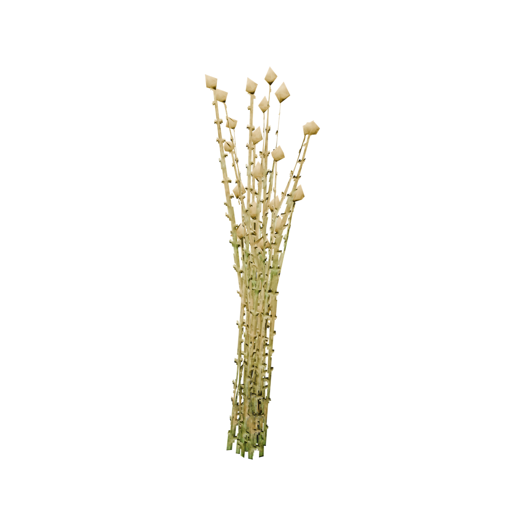 Flax