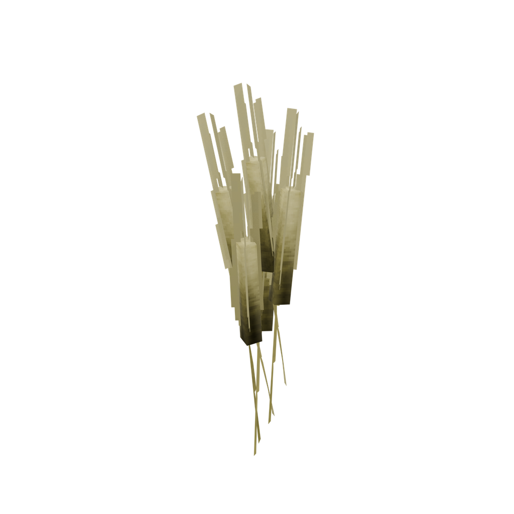 Barley