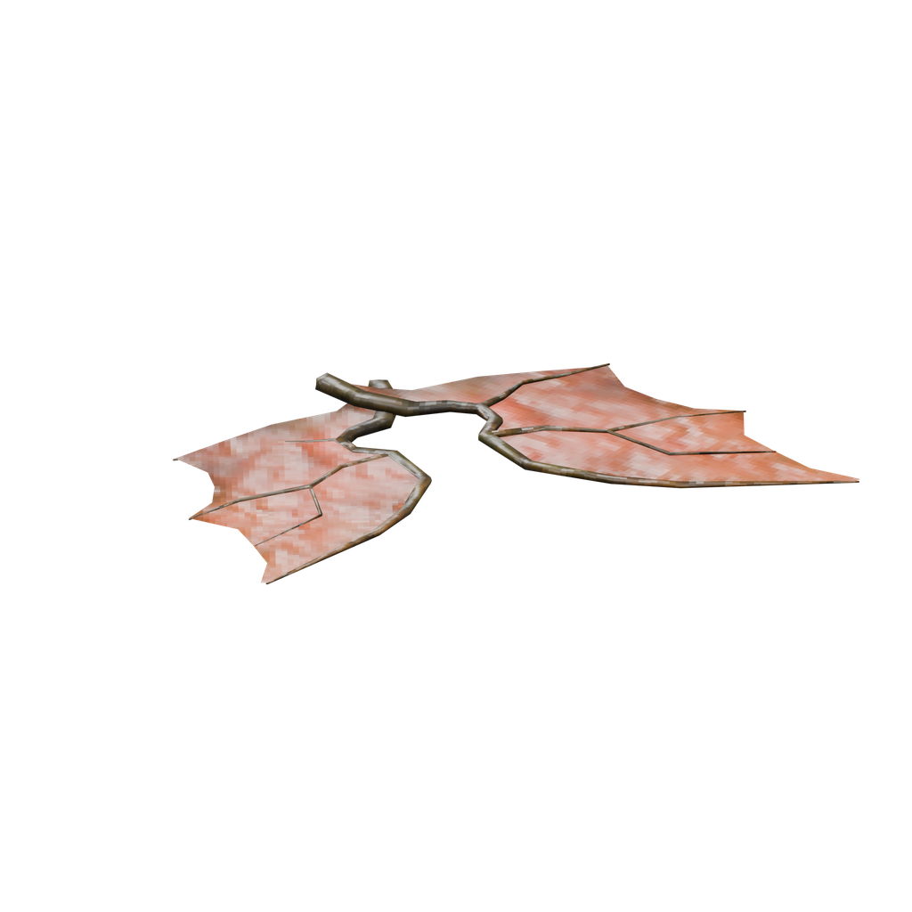 Seeker Trophy