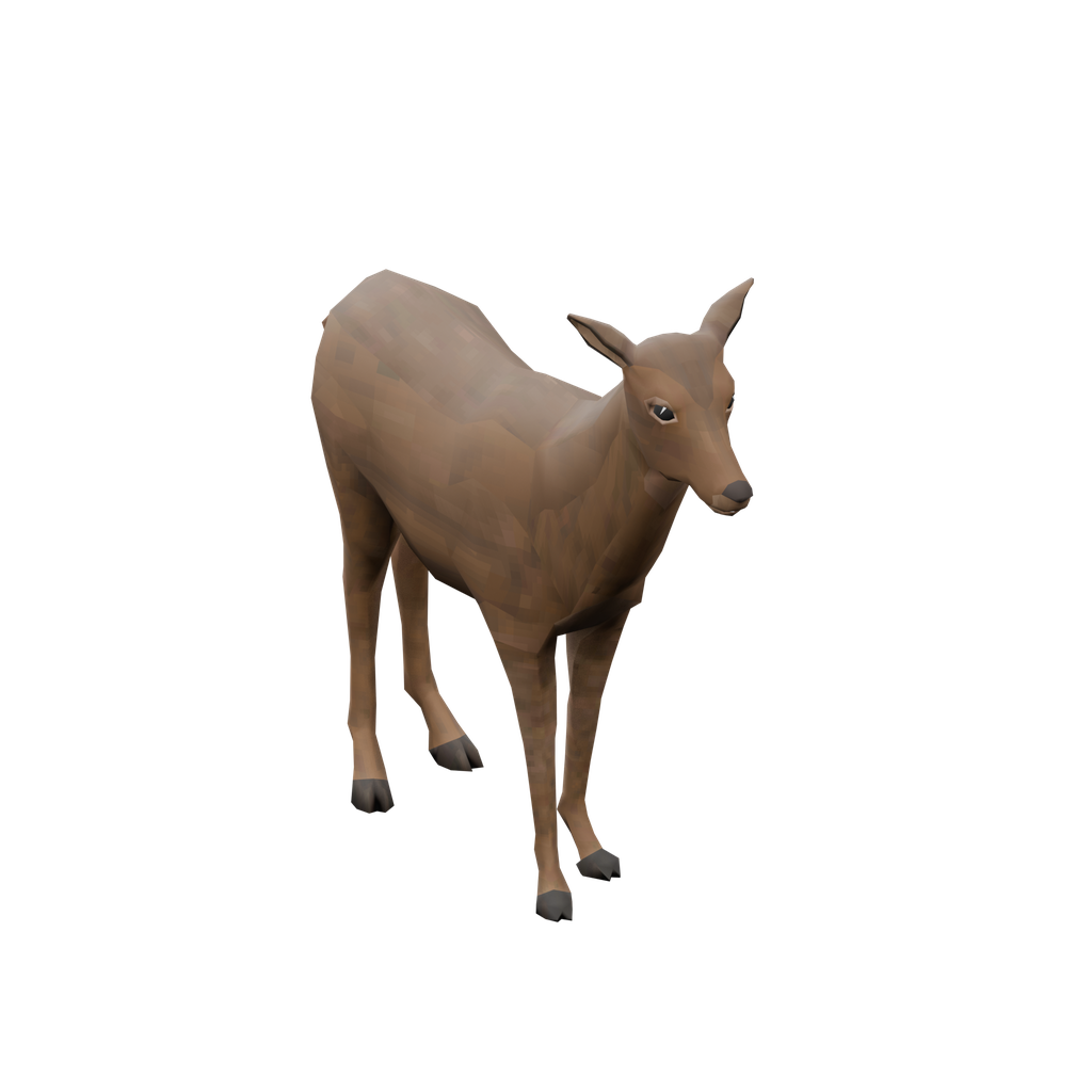 Deer