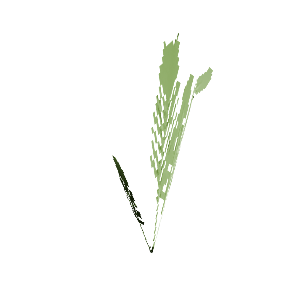 Carrot