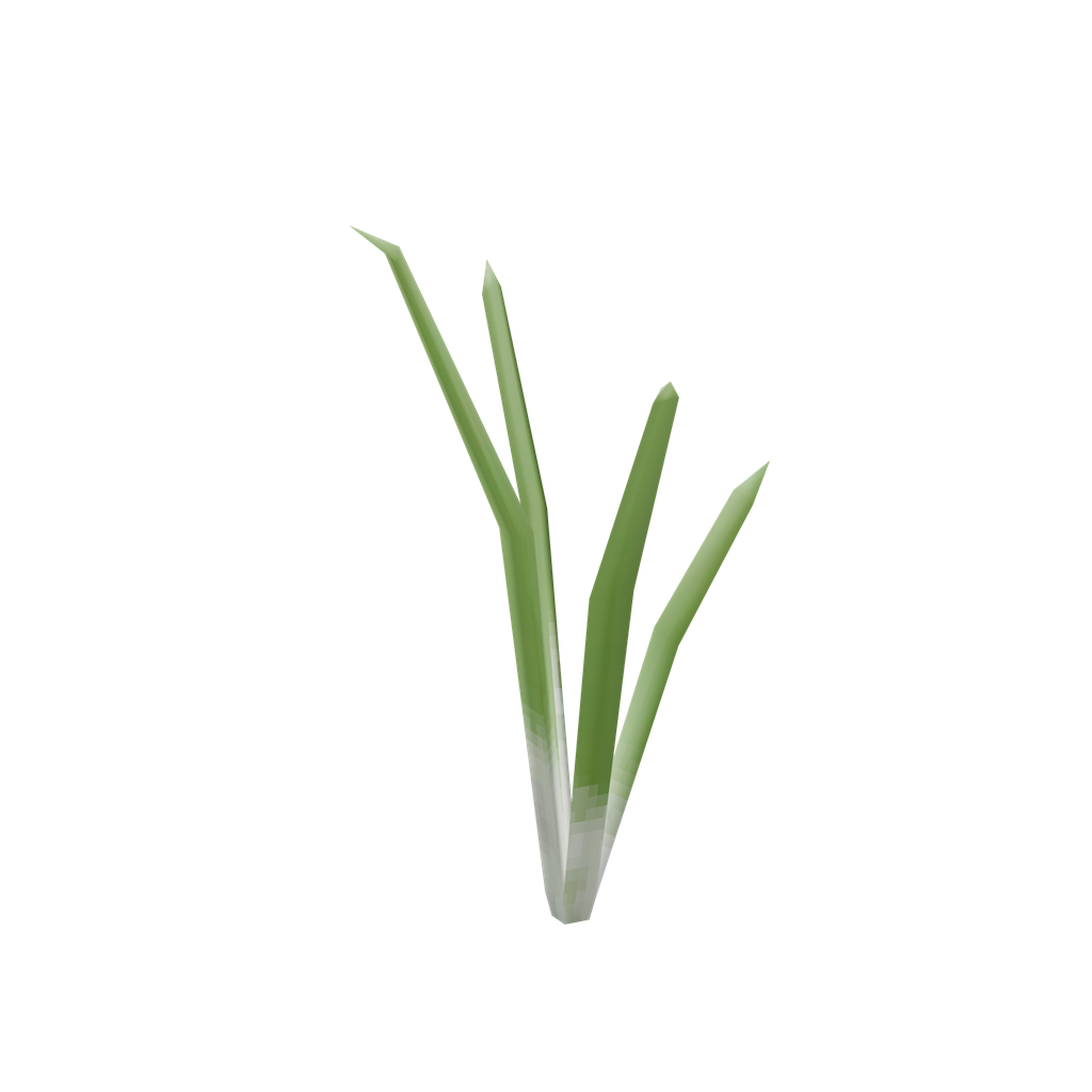 Onion